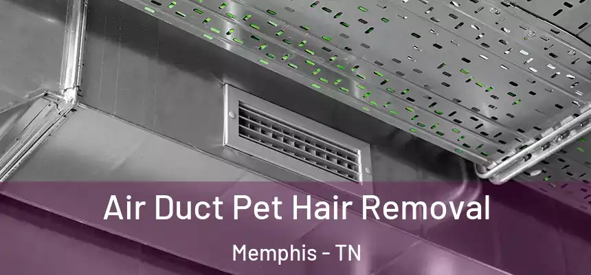 Air Duct Pet Hair Removal Memphis - TN