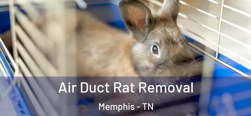  Air Duct Rat Removal Memphis - TN