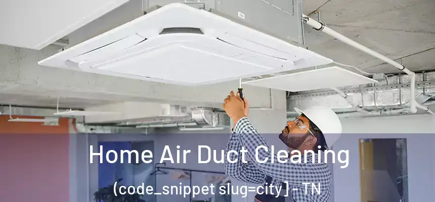  Home Air Duct Cleaning (code_snippet slug=city] - TN