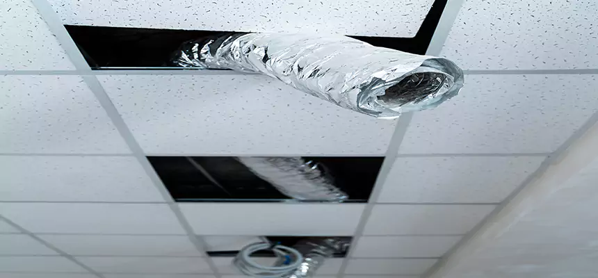 Our Air Duct Pet Hair Removal Services in Memphis, TN