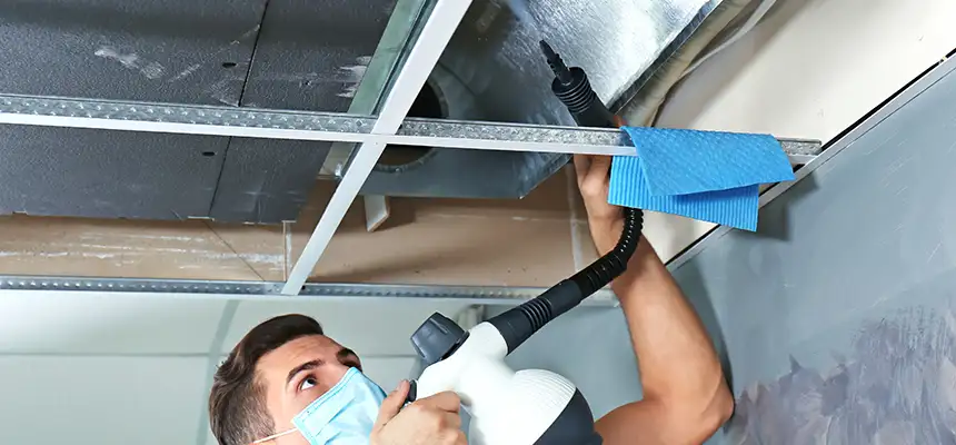 Our Air Duct Rodent Removal Services in Memphis, TN