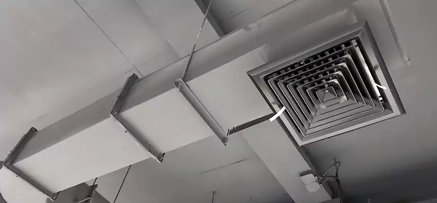 Our Pest Removal From Ducts Services in Memphis, TN