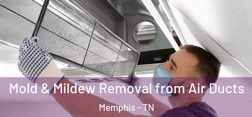  Mold & Mildew Removal from Air Ducts Memphis - TN