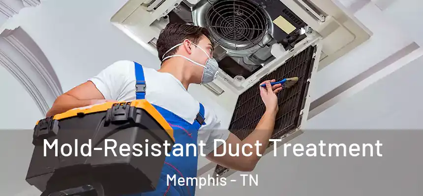  Mold-Resistant Duct Treatment Memphis - TN