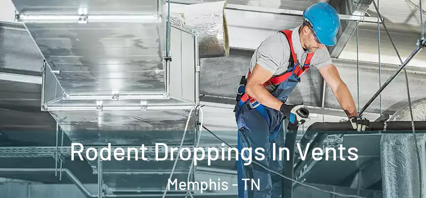  Rodent Droppings In Vents Memphis - TN