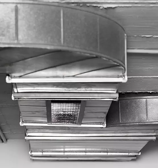 Professional Air Duct Pet Hair Removal in Memphis, TN