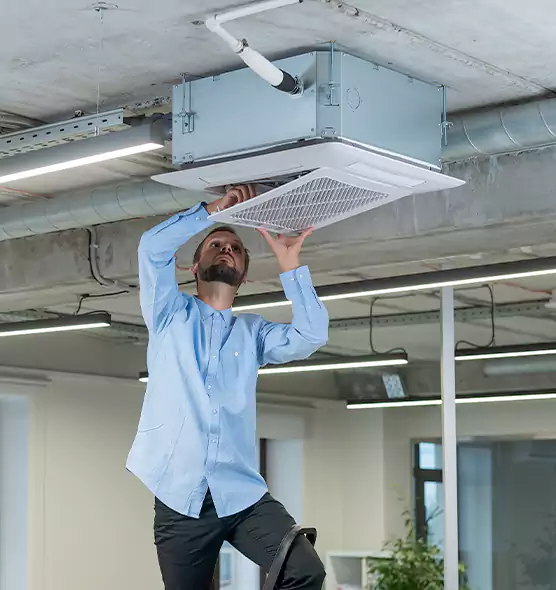 Advanced Rodent Droppings In Vents in Memphis, TN