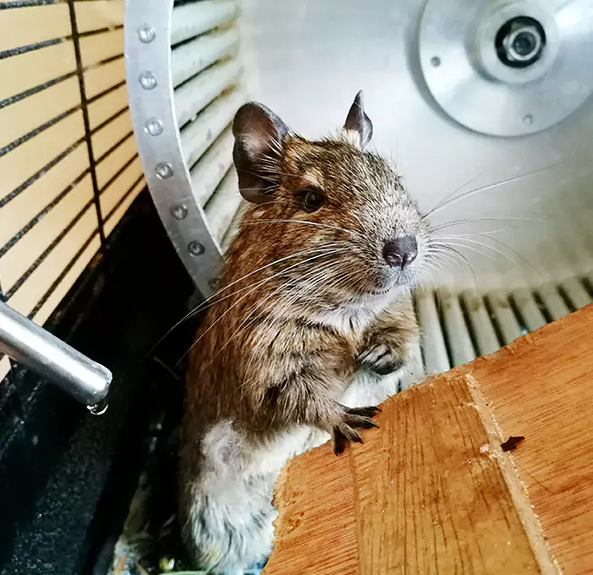 Why Homeowners & Businesses Trust Us Memphis, TN