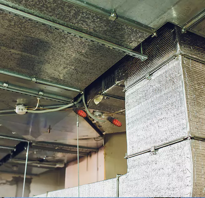 Why Homeowners & Businesses Trust Us Memphis, TN?