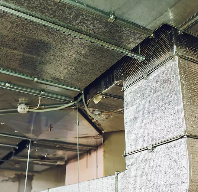 Why Homeowners & Businesses Trust Us in Memphis, TN?